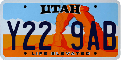 UT license plate Y229AB