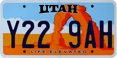 UT license plate Y229AH