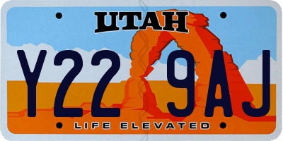 UT license plate Y229AJ