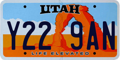 UT license plate Y229AN