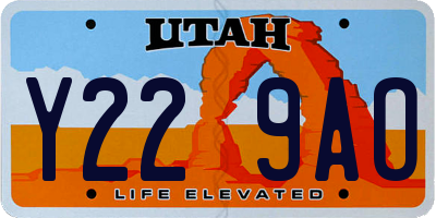 UT license plate Y229AO