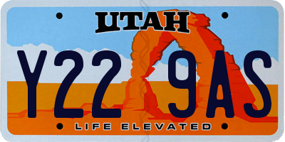 UT license plate Y229AS