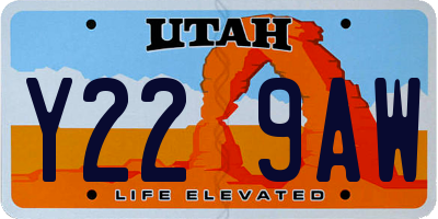 UT license plate Y229AW