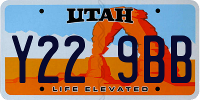 UT license plate Y229BB