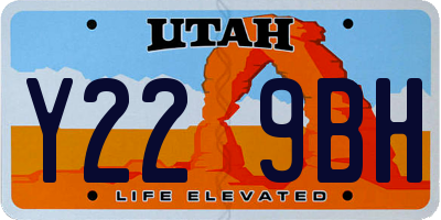 UT license plate Y229BH