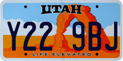 UT license plate Y229BJ