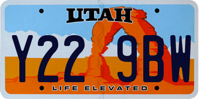 UT license plate Y229BW