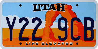 UT license plate Y229CB