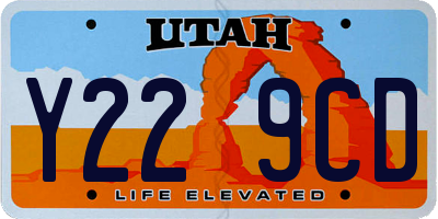 UT license plate Y229CD