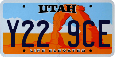 UT license plate Y229CE