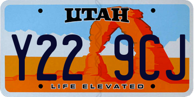 UT license plate Y229CJ