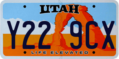 UT license plate Y229CX