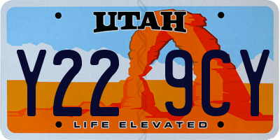 UT license plate Y229CY