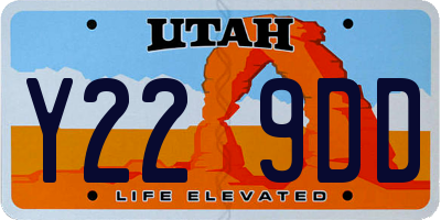 UT license plate Y229DD