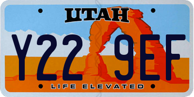 UT license plate Y229EF