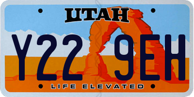 UT license plate Y229EH