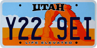 UT license plate Y229EI