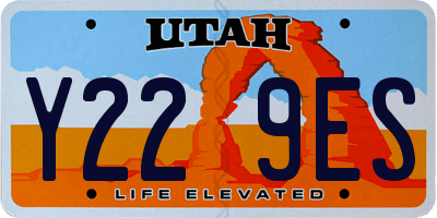 UT license plate Y229ES