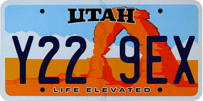 UT license plate Y229EX