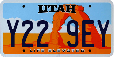 UT license plate Y229EY