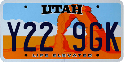UT license plate Y229GK