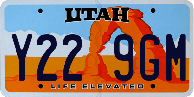 UT license plate Y229GM