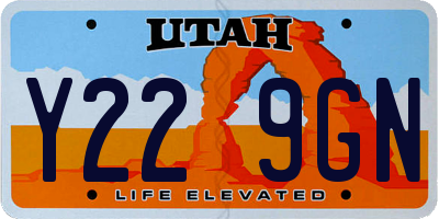 UT license plate Y229GN