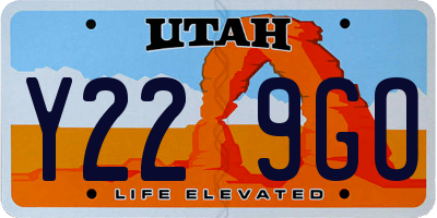 UT license plate Y229GO