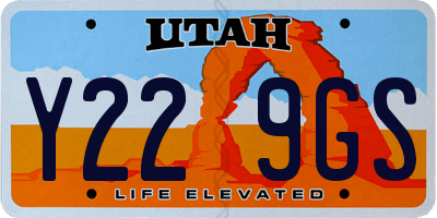 UT license plate Y229GS