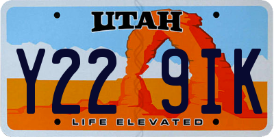 UT license plate Y229IK