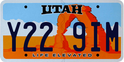 UT license plate Y229IM