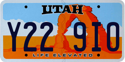 UT license plate Y229IO