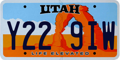 UT license plate Y229IW