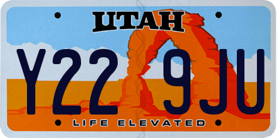 UT license plate Y229JU