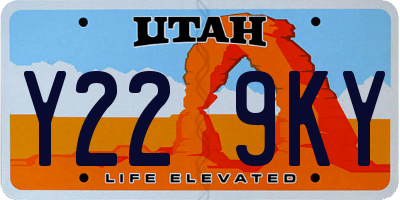 UT license plate Y229KY