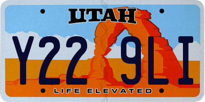 UT license plate Y229LI