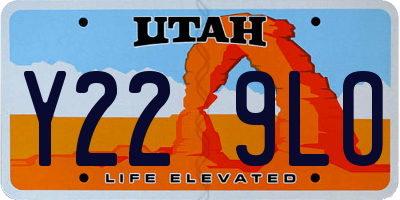 UT license plate Y229LO