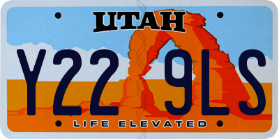 UT license plate Y229LS