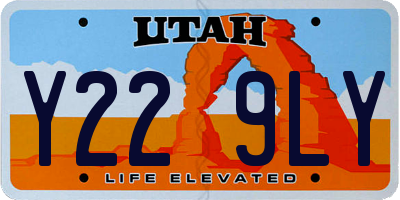 UT license plate Y229LY