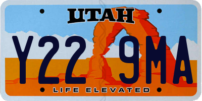UT license plate Y229MA