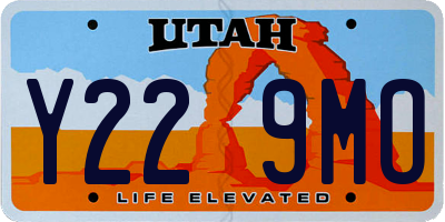 UT license plate Y229MO