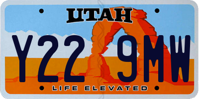 UT license plate Y229MW