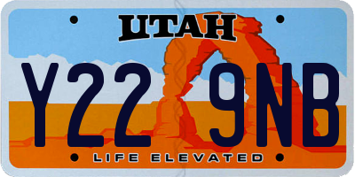 UT license plate Y229NB