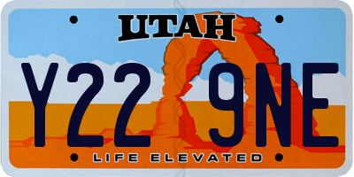UT license plate Y229NE