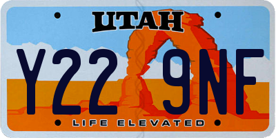 UT license plate Y229NF