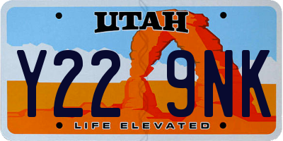 UT license plate Y229NK