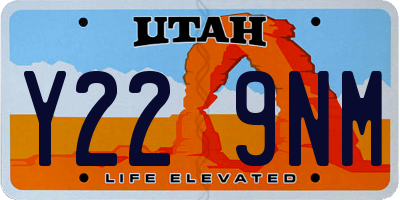UT license plate Y229NM