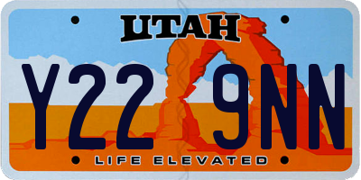UT license plate Y229NN