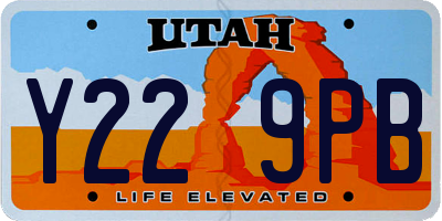 UT license plate Y229PB