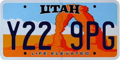UT license plate Y229PG